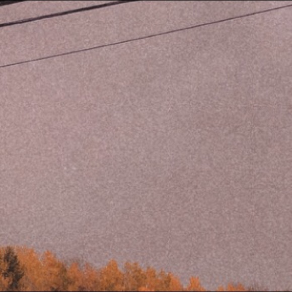 Meet your Posher, Callie - Picture 1 of 1